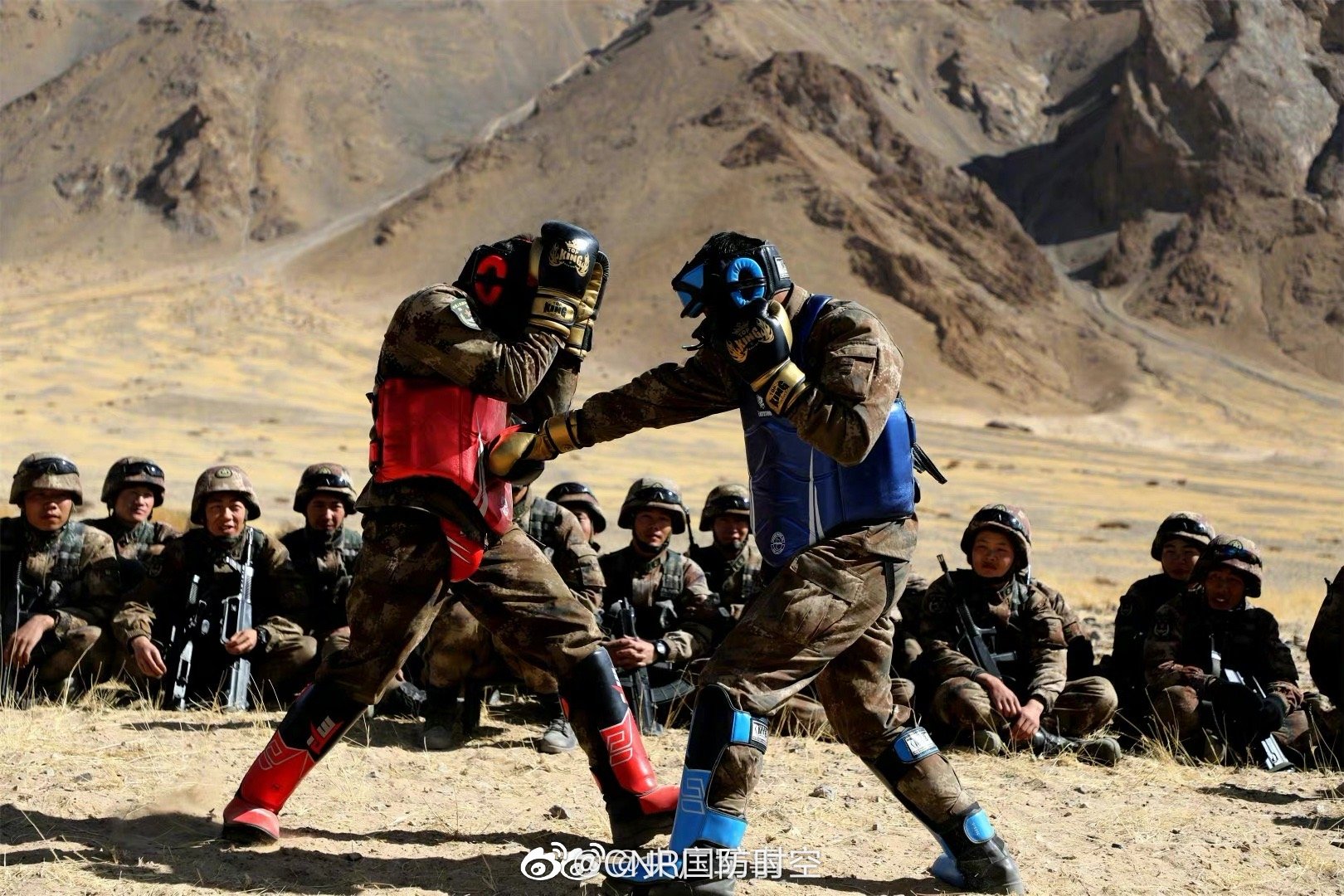 球场上的斗志：激烈对抗背后的故事的简单介绍