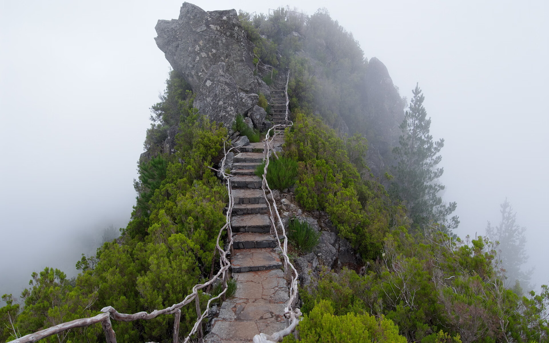 篮网队遭逢失败，猛龙队在主场表现出色，nba篮网队猛龙