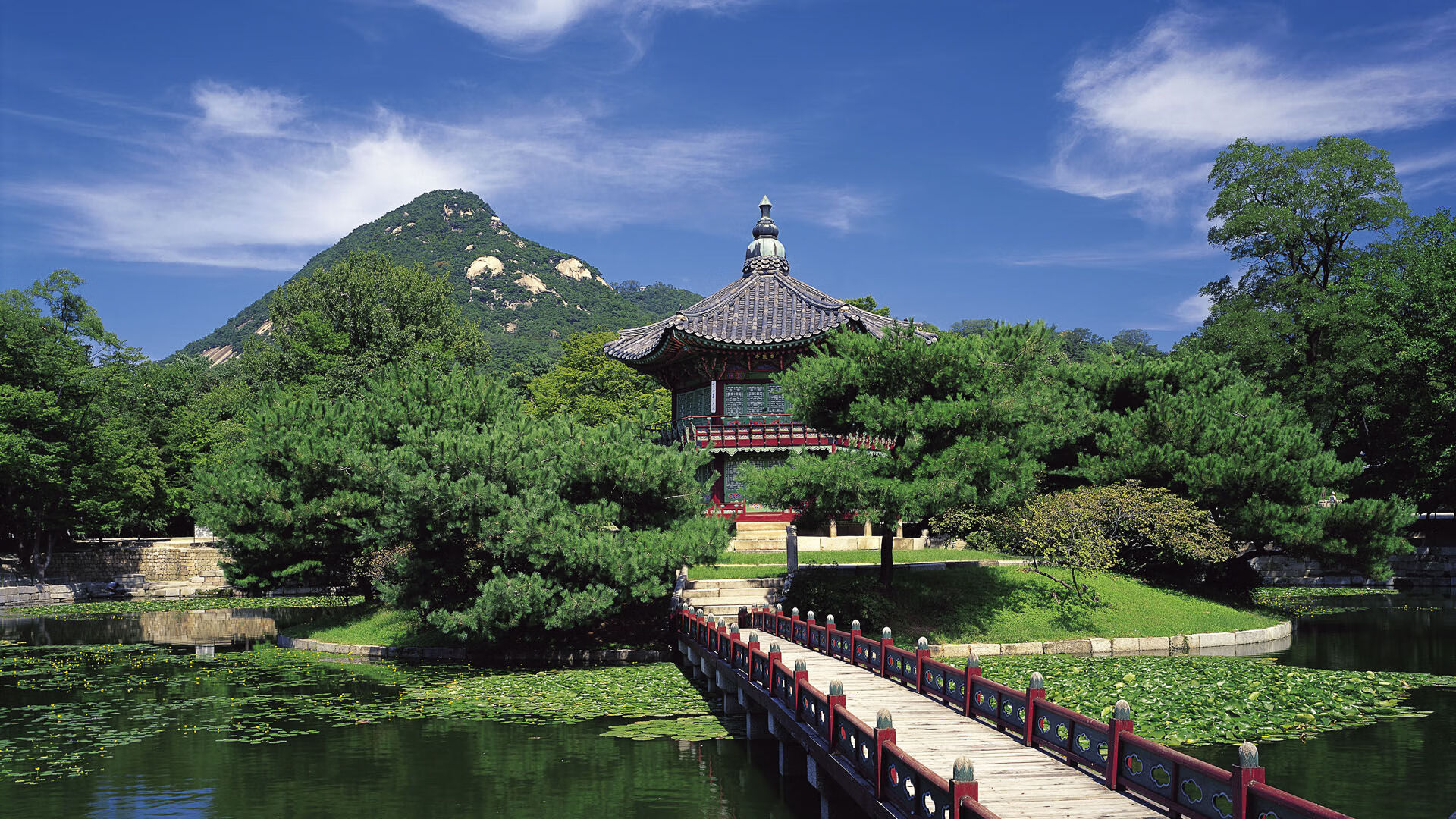 美洲杯星光璀璨：明星闪耀，奇迹不停！，美洲杯巨星