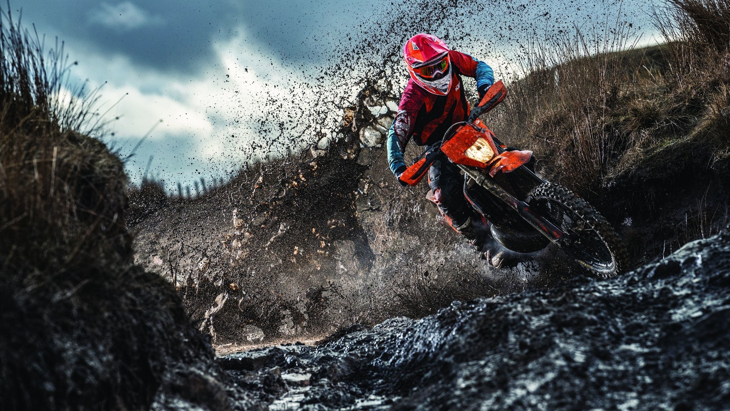 APEX英雄 线上赛观赛人数创新高，apex比赛录像